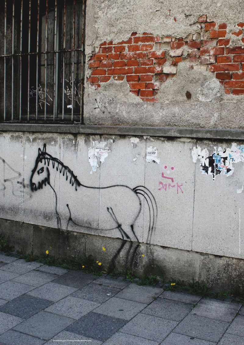 pferd-tumblinger-dina1